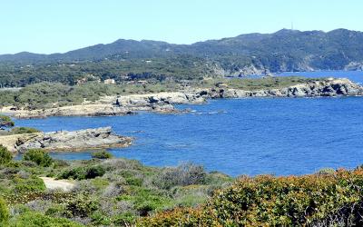 camping dans le var près ile ds embiez