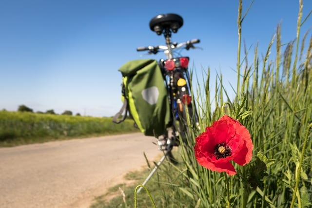 vélo var