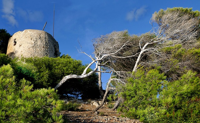 La Tour de Sanary sur Mer, lieu touristique emblématique de la ville